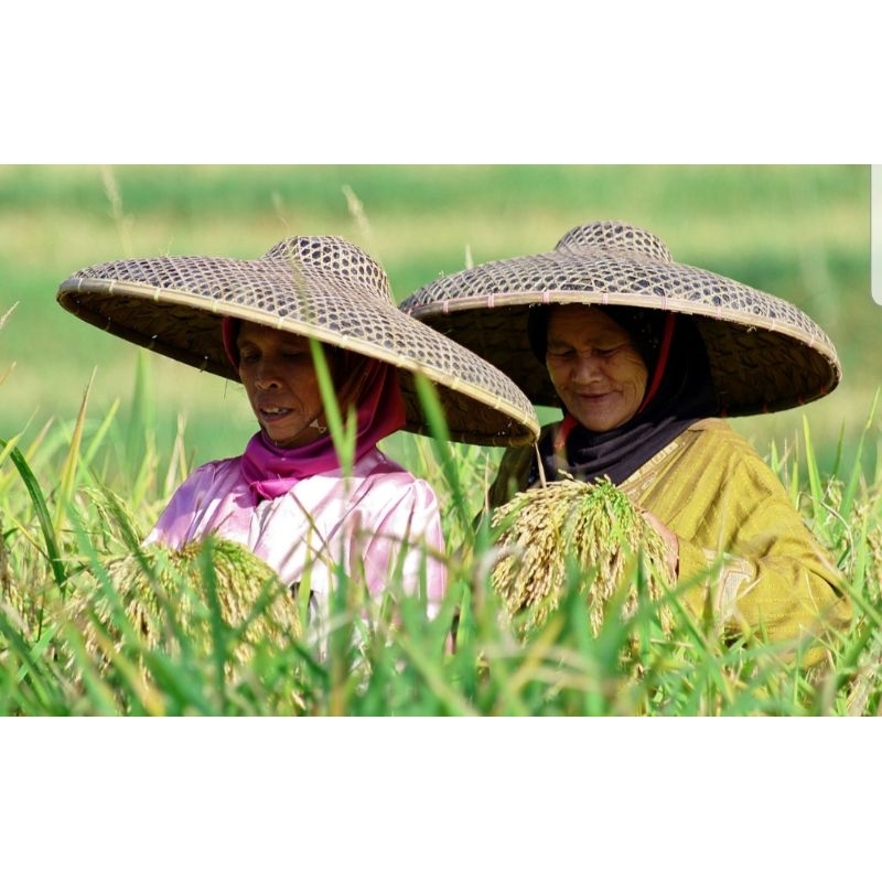 caping bambu topi petani