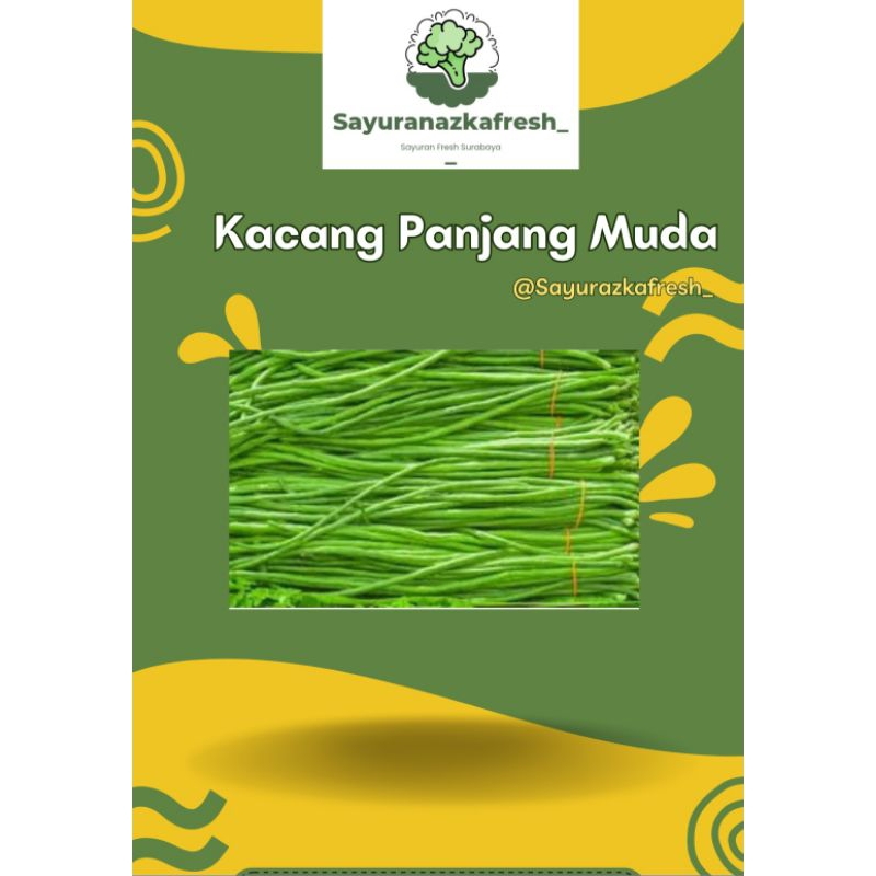 

Kacang Panjang Muda