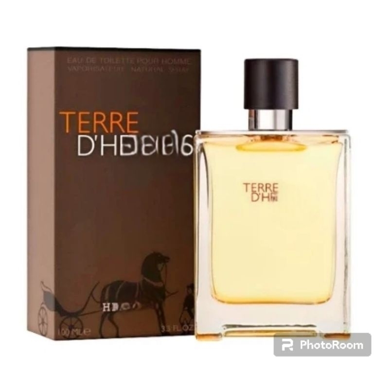parfum murah pria TERRE 100 ml
