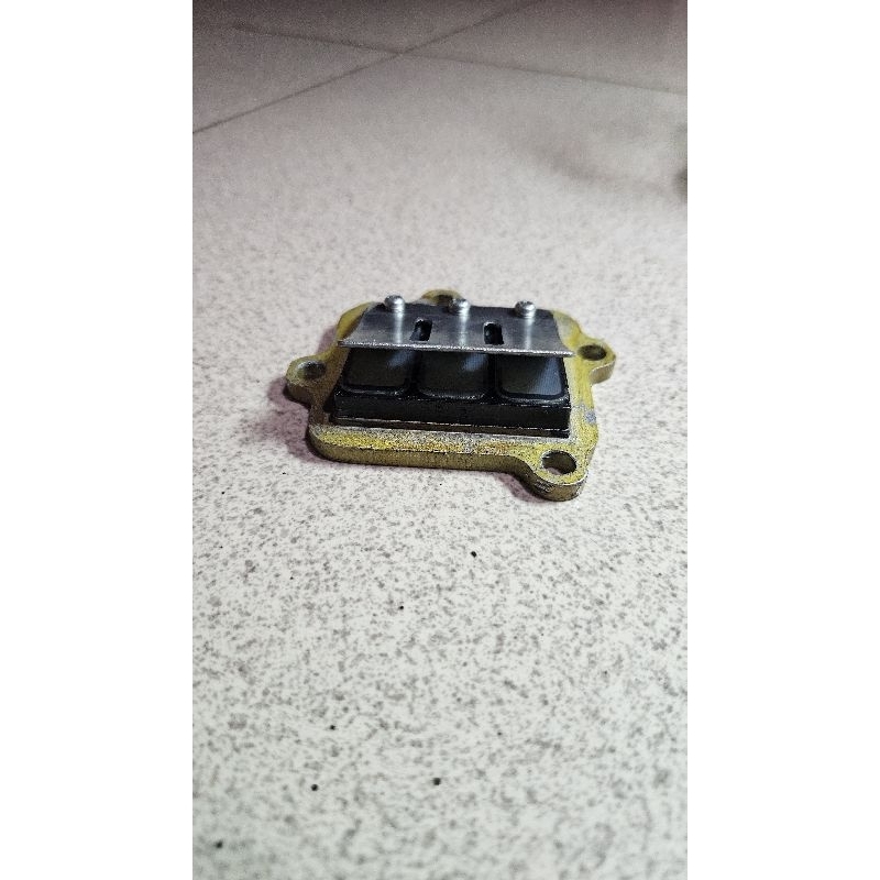 membran ori fizr f1zr