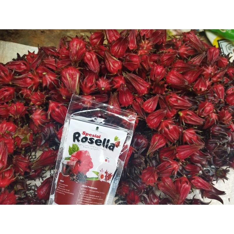 

Rosella segar/Rosella fresh/Rosella langsung petik saat pesan