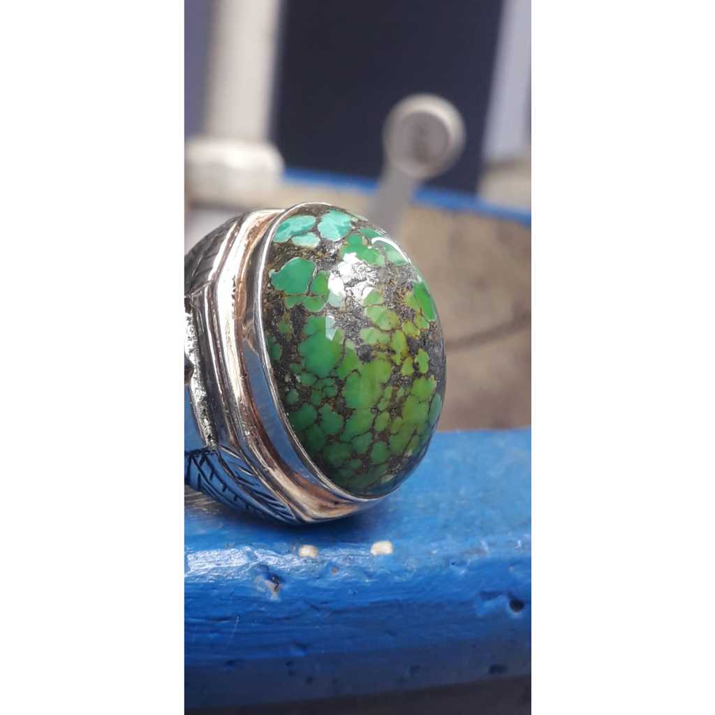 Pirus persia tosca gradasi