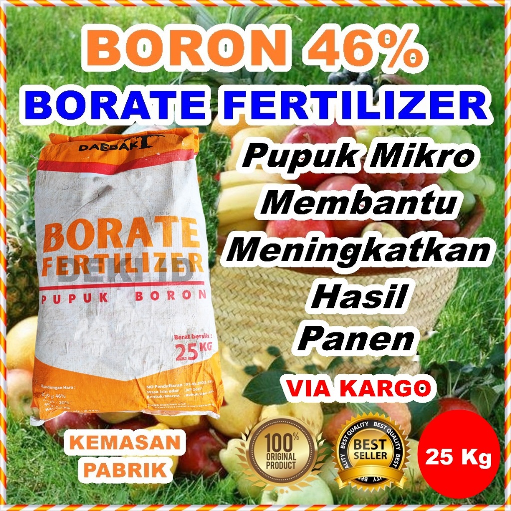 Boron Daebak 25 Kg Pupuk Borate 46 Via Kargo Kemasan Pabrik Nutrisi Mikro Tanaman Fertilizer Anti Rontok Bunga Buah Sawit Anggur Cabe
