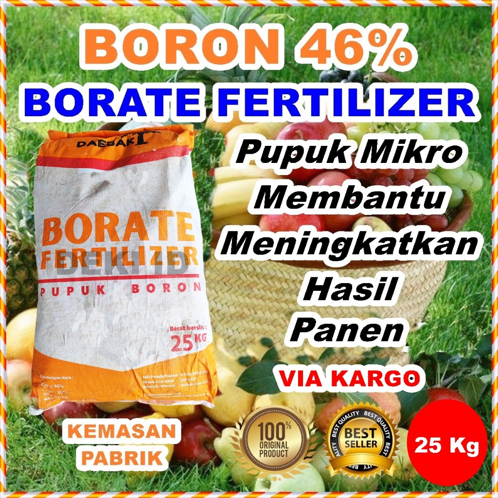 Boron Daebak 25 Kg Pupuk Borate 46 Via Kargo Kemasan Pabrik Nutrisi Mikro Tanaman Fertilizer Anti Ro