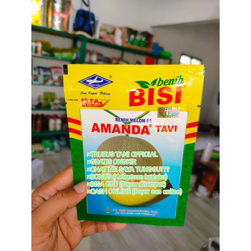 Benih Melon Madu Amanda Tavi F1 isi Benih Per Sachet (550 +/-) butir Kadaluarsa. 2025 (Panjang)/Termurah viral/Perawatan Mudah/Tahan Virus Gemini Kuning Puret Kriting, Layu Fusarium/Disukai Pasar, Manis, Tahan Simpan/Net Tebal/Masak Pohon/100 % Ori Pabrik