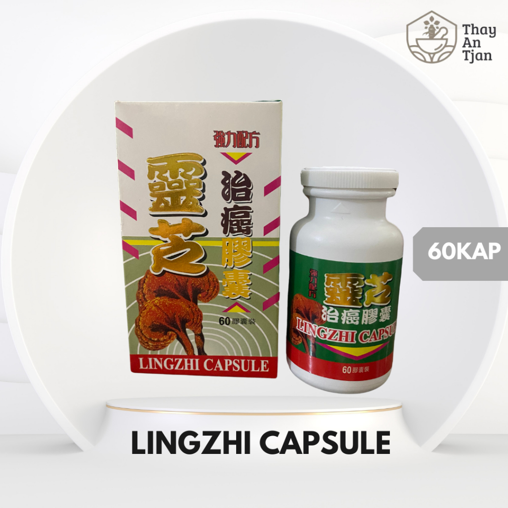 LINGZHI KAPSUL | OBAT KANKER