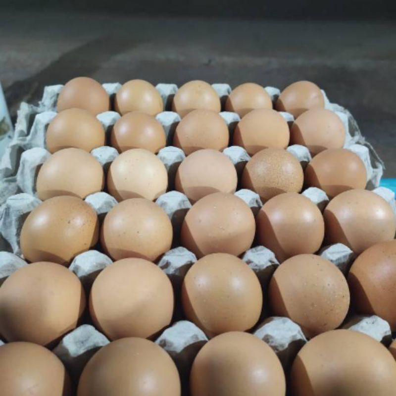 

Telur Ayam Mentah 1kg