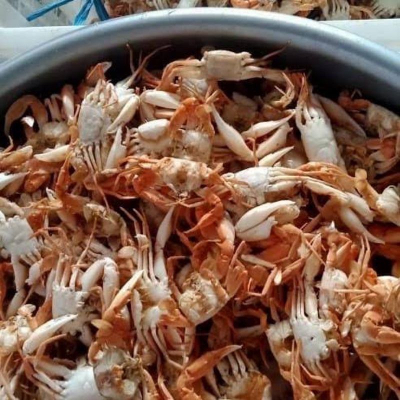 

(1kg) Baby Crabs Matang Rebusan Premium Fresh