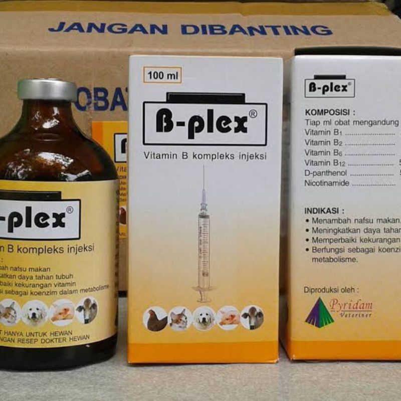 B PLEX 100ML vitamin b komplek injeksi