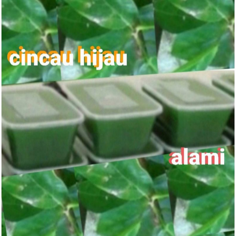 

CINCAU.HIJAU.ORGANIK.BOK.1500.MIL8 bok