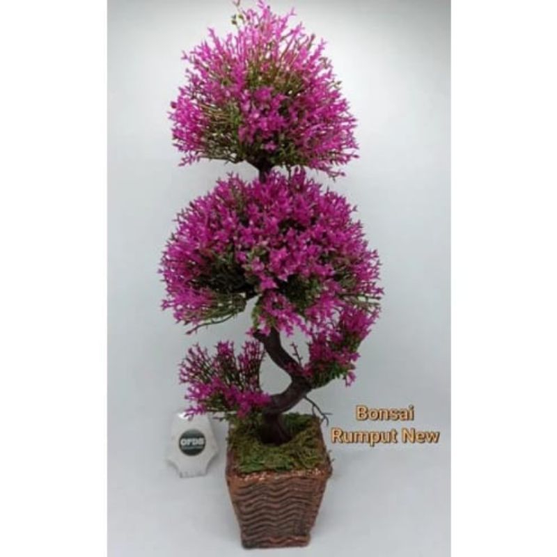 Bonsai Bunga Rumput New Bonsai Bunga Ada Vas Bonsai Bunga Siap Pakai Bonsai Bonsai Bunga Tinggi Bons