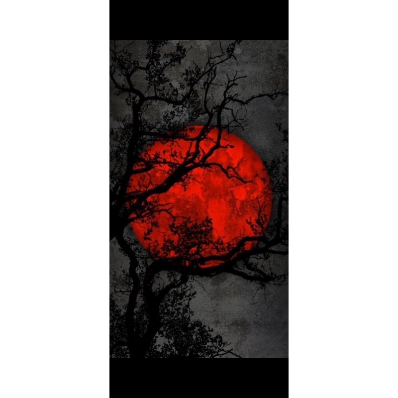 misteri box ikan cupang