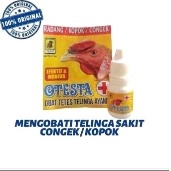 OTESTA OBAT AYAM SAKIT TELINGA CONGEK KOPOK