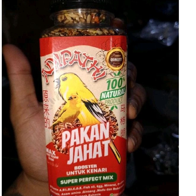 PENGGACOR BURUNG KENARI (PAKAN JAHAT)
