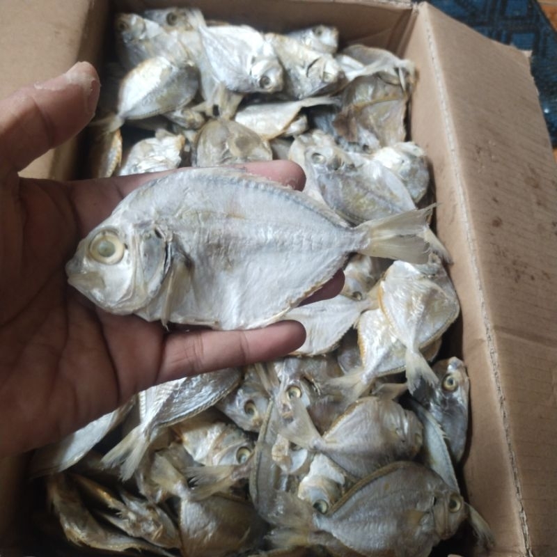 

Ikan Asin Murah / Ikan Asin petek ukuran sedang 1 kg Enak Dan Gurih