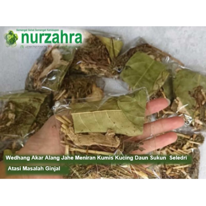 

Wedhang Racikan Rempah Akar Alang Meniran Kumis kucing Daun Sukun Seledri Atasi Masalah Ginjal