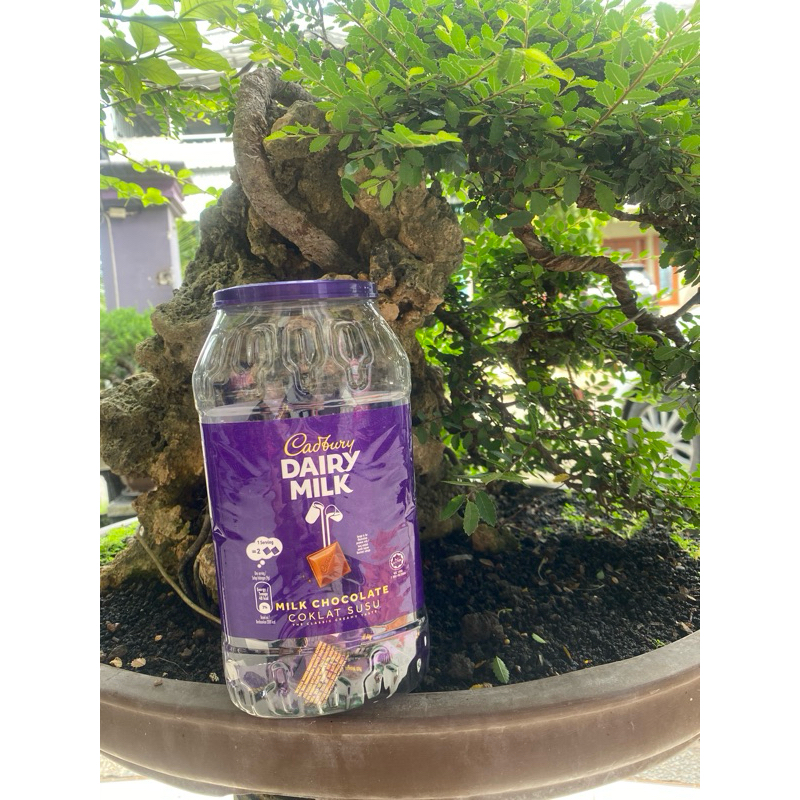 

dairy milk