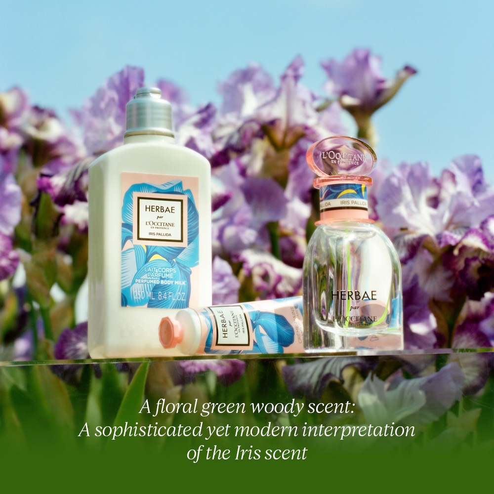 L'Occitane Herbae Iris Pallida Perfumed Body Milk 250ml - Krim Tubuh Pelembap Kulit Kering dan Normal