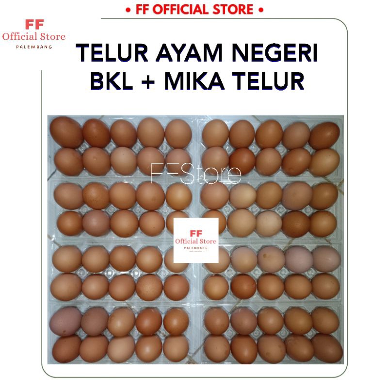 

TELUR AYAM NEGERI BKL 250 GRAM + MIKA TELUR