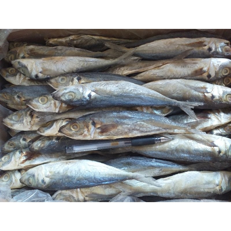 

Ikan Pedo Layang/Banyar/Kembung 250 gram