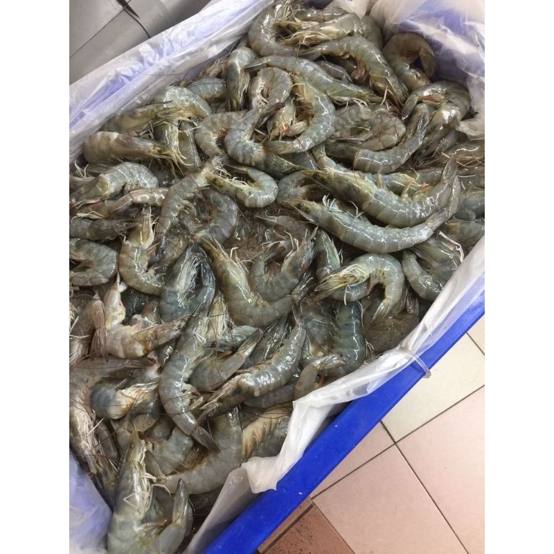 

UDANG VANAME 250GR / 500GR / 1KG