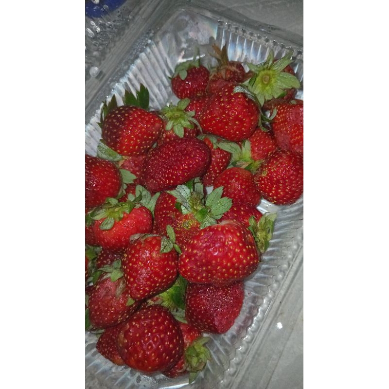 

Strawberry Kering