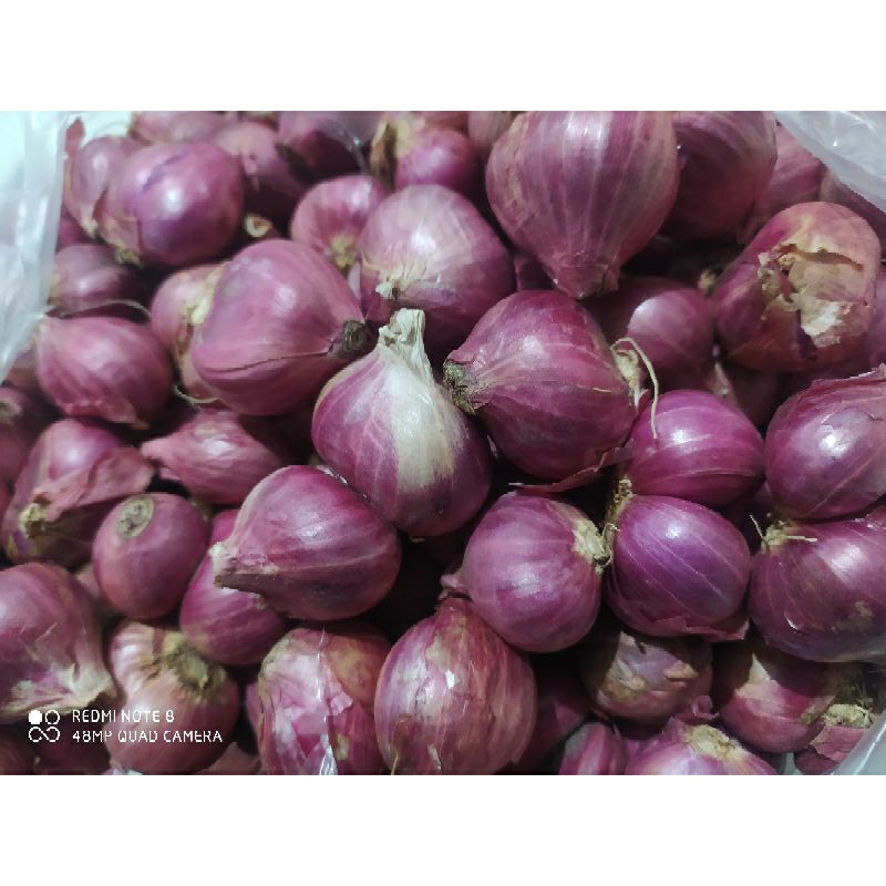 

bawang merah