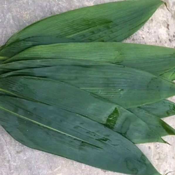 

jual daun bambu segar murah,bungkus bacang kualitas terjamin