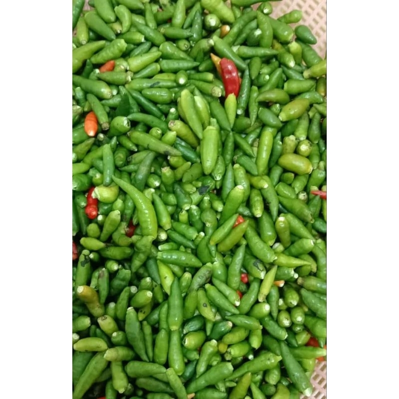 

cabe rawit cuko petik 1ons