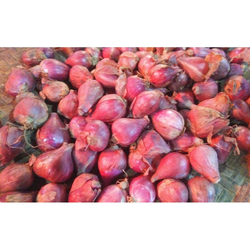 

Bawang Merah Brebes Super Pilihan dan kering