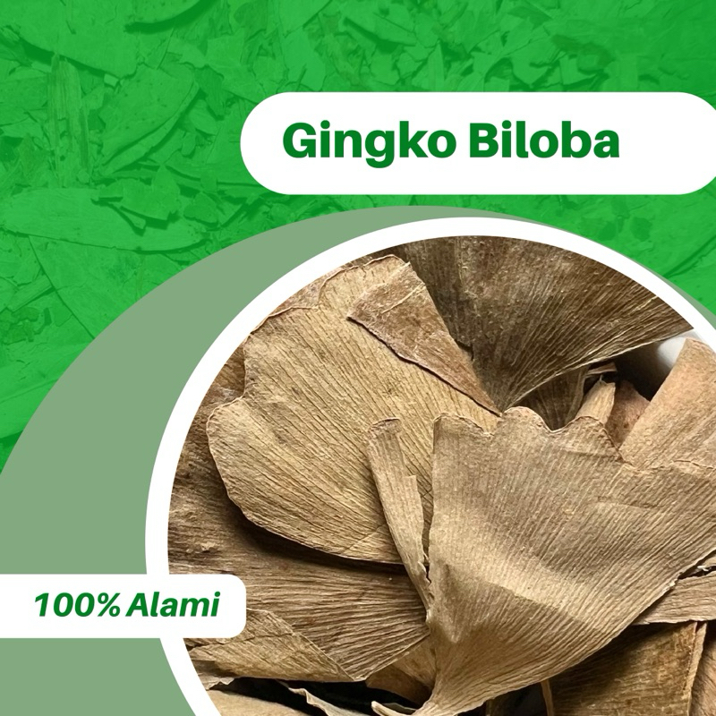 

10GR GINGKO BILOBA 100% ASLI