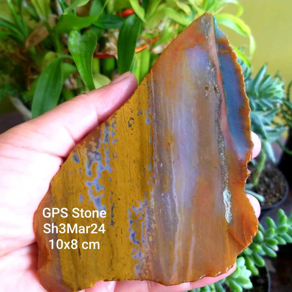 PROMO Batu Akik OCEAN jasper Klawing KRISTAL/Telor kodok SUPER  100 % SH3APR24'4