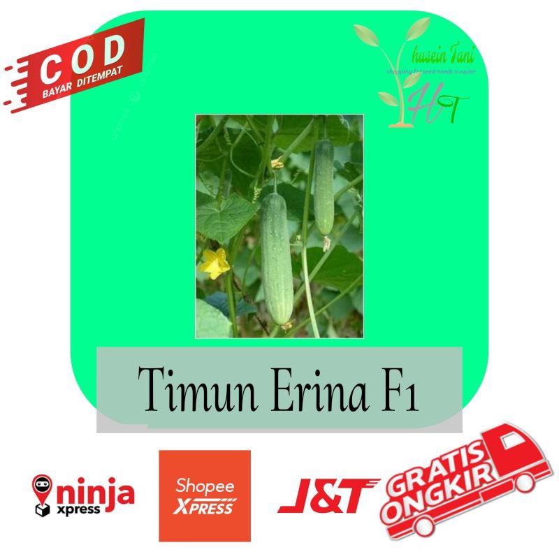 50 seed benih timun erina f1