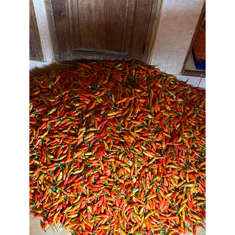 

Cabe Rawit Merah dan Cabe Keriting 1kg 1 kg murah fresh Lombok Cabai 1kg
