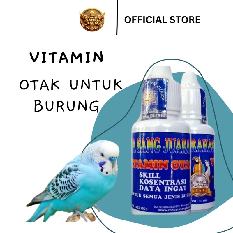 Vitamin Otak Burung Menambah Daya Ingat Burung