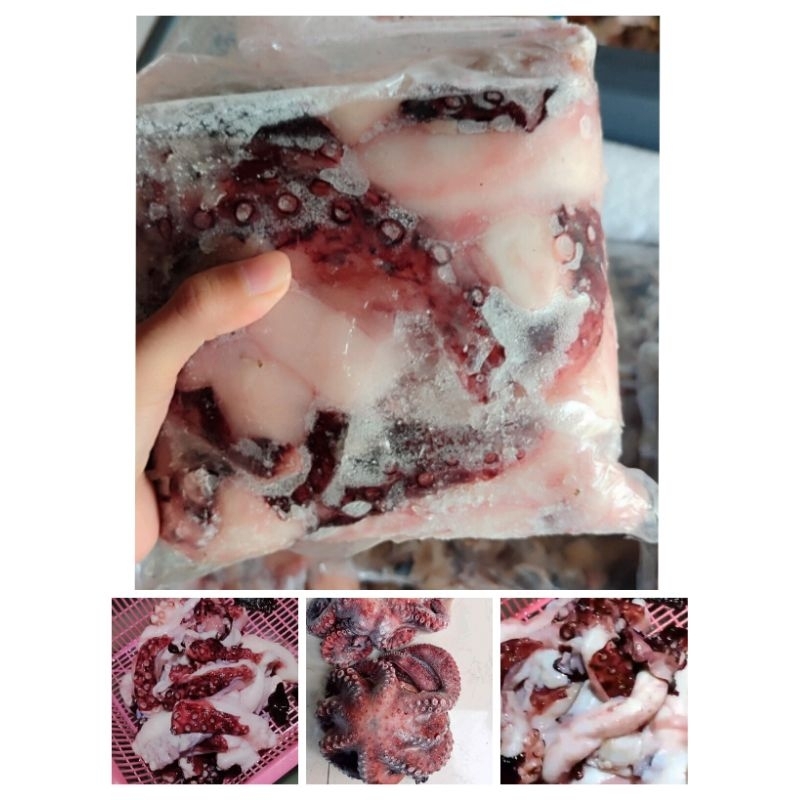 

Frozen Potongan Gurita Premium 1kg MURAH