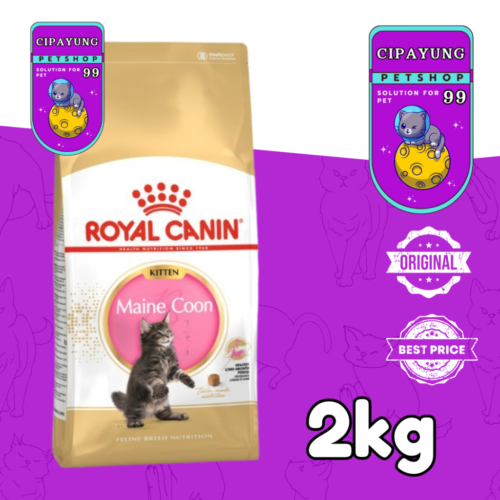 Royal Canin Maine Coon Kitten 2kg