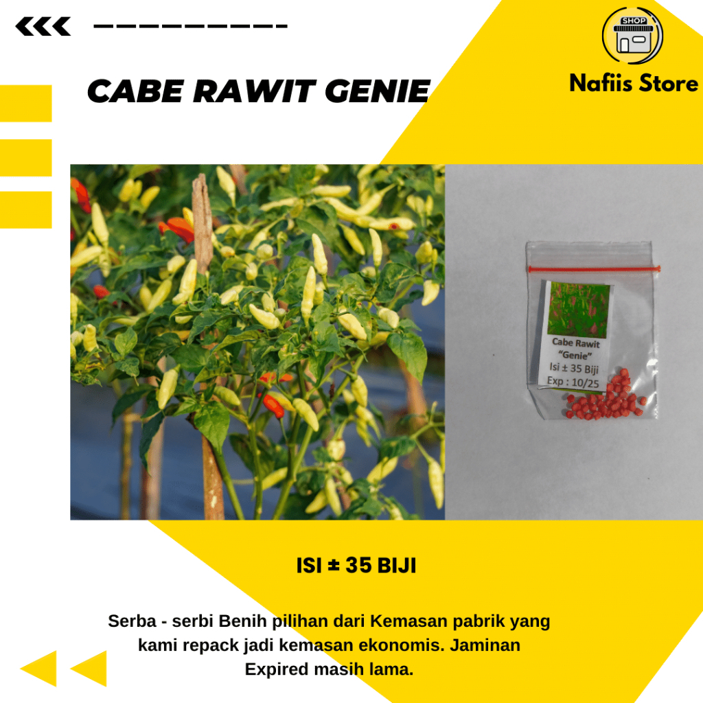 35 Biji - Benih cabe rawit hijau GENIE