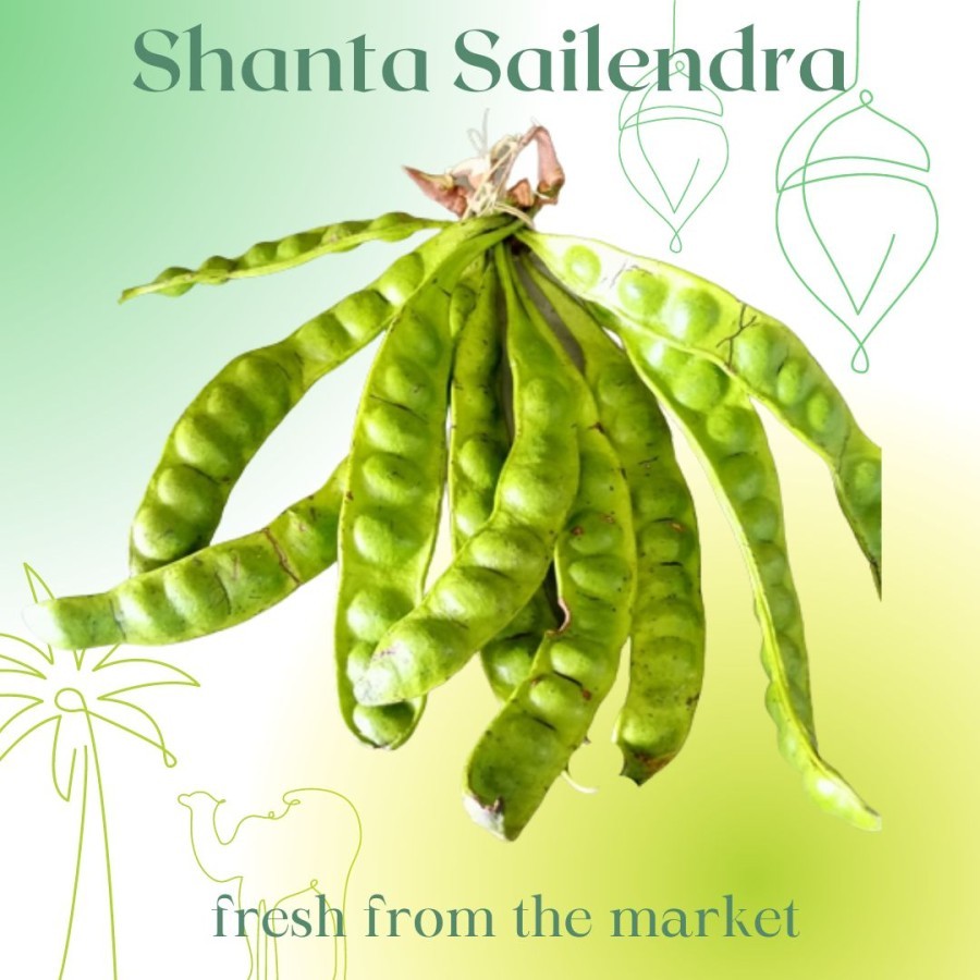 

PETE 1 IKAT BERISI 5 LONJOR