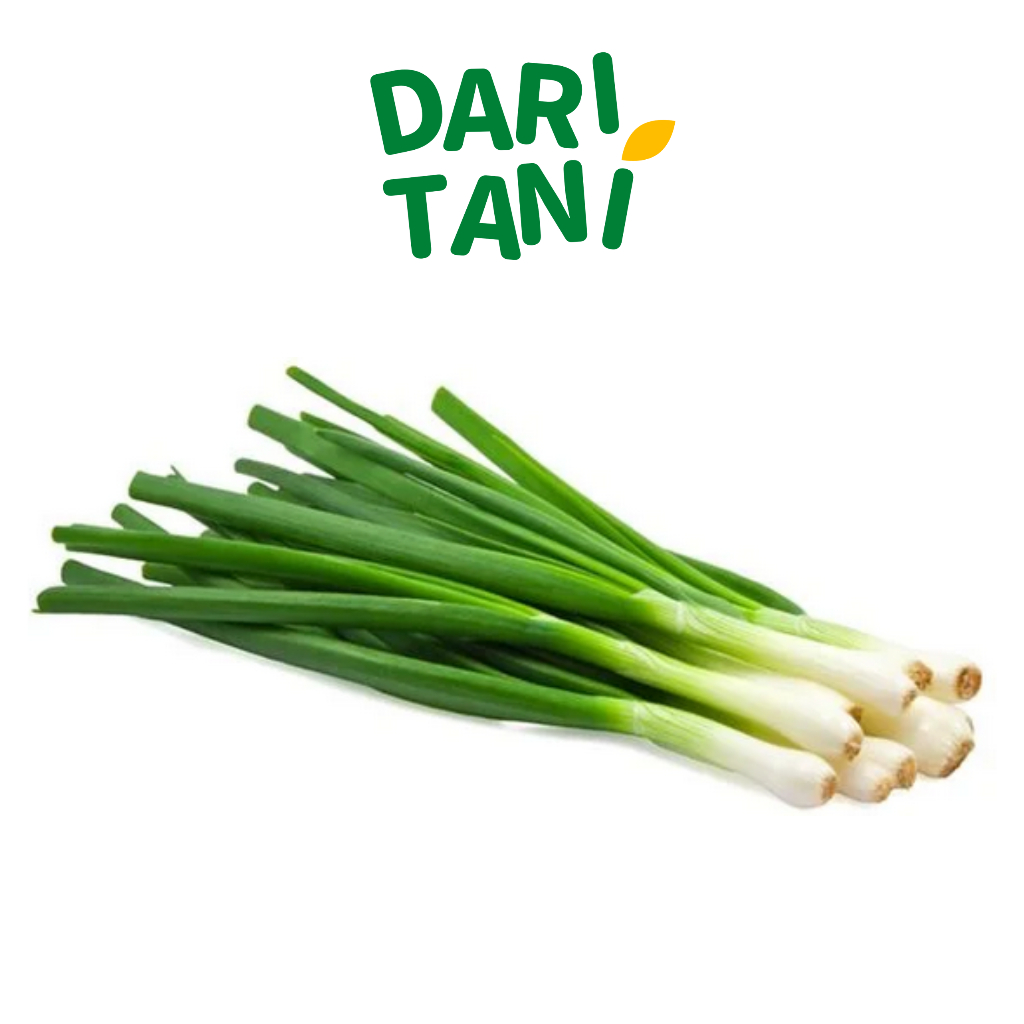 

DariTani Daun Bawang 200 gr - 500 gr