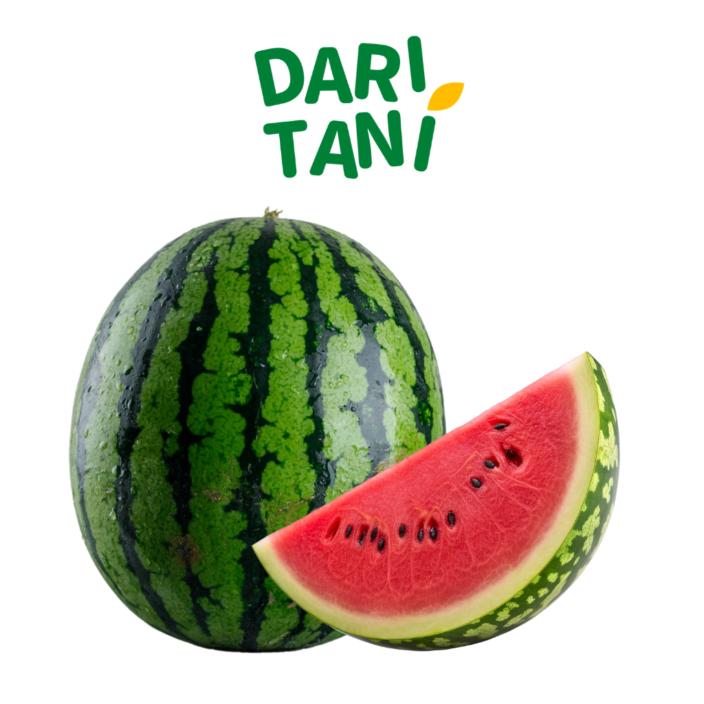 

DariTani Semangka Merah 3,5 - 4 kg