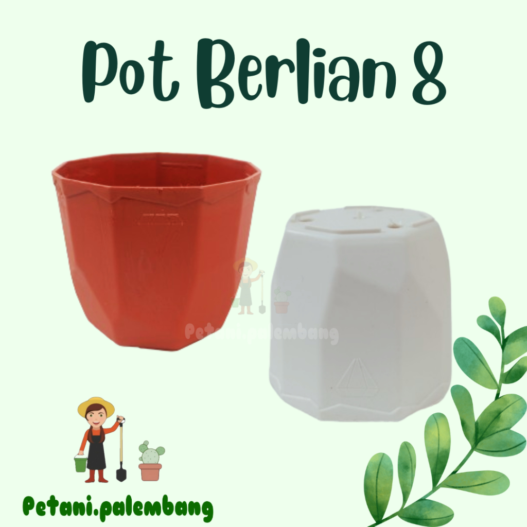 Pot Diamond / Berlian / Permata Warna 8 cm Bibit Tanaman petani.palembang