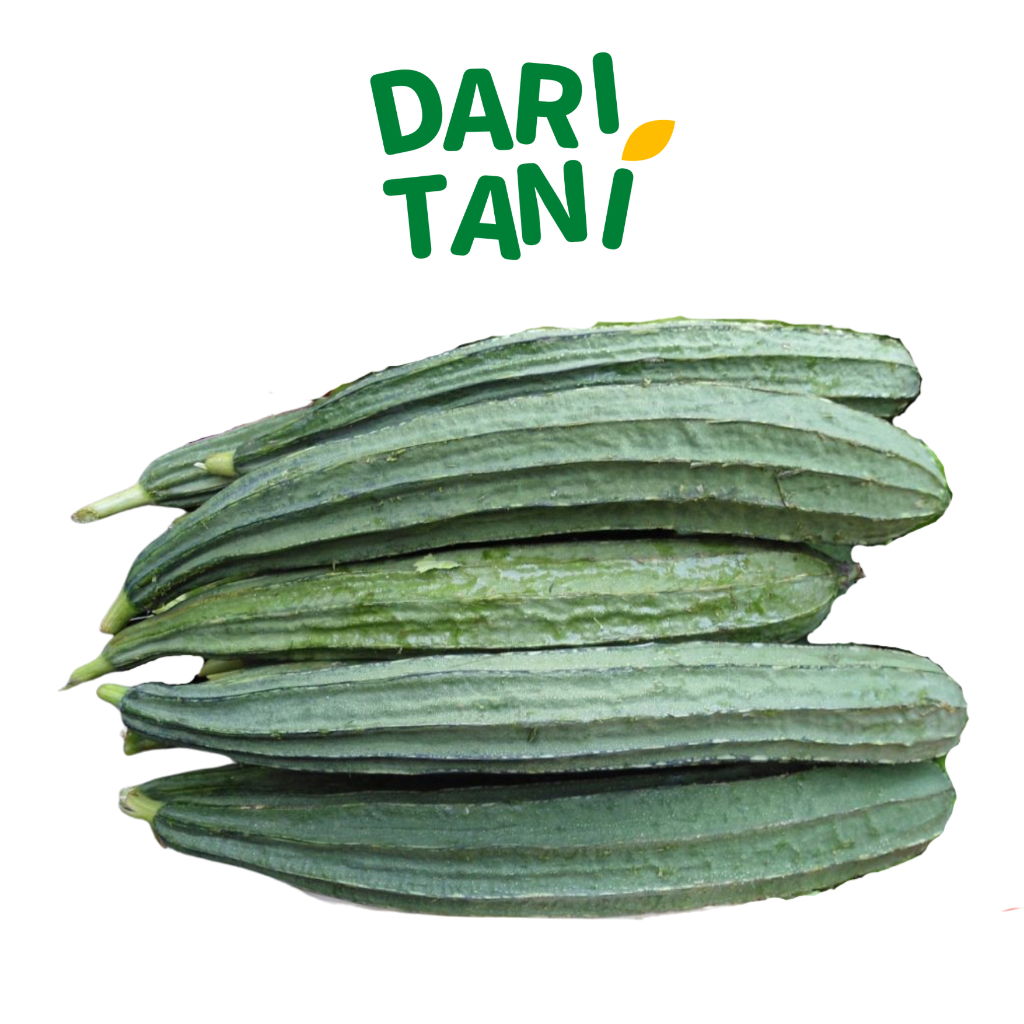 

DariTani Oyong (Ridged Gourd) 500gr