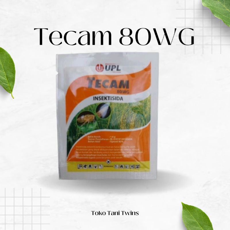 Tecam 80 WG 1,6gr