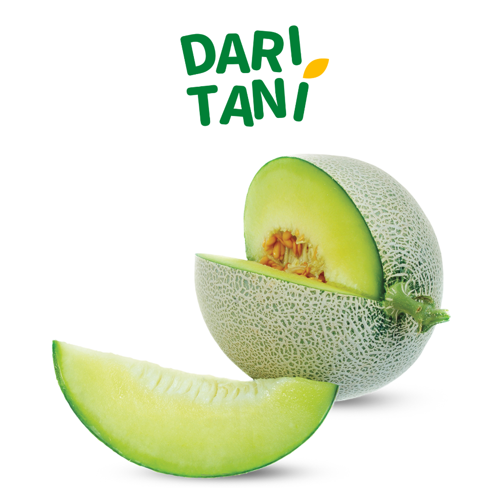 

DariTani Melon Hijau Sky Melon 1pcs