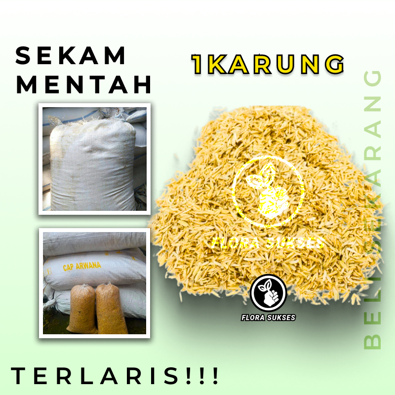 JUAL SEKAM MENTAH 1 KARUNG SEKAM MENTAH KARUNGAN SEKAM PADI