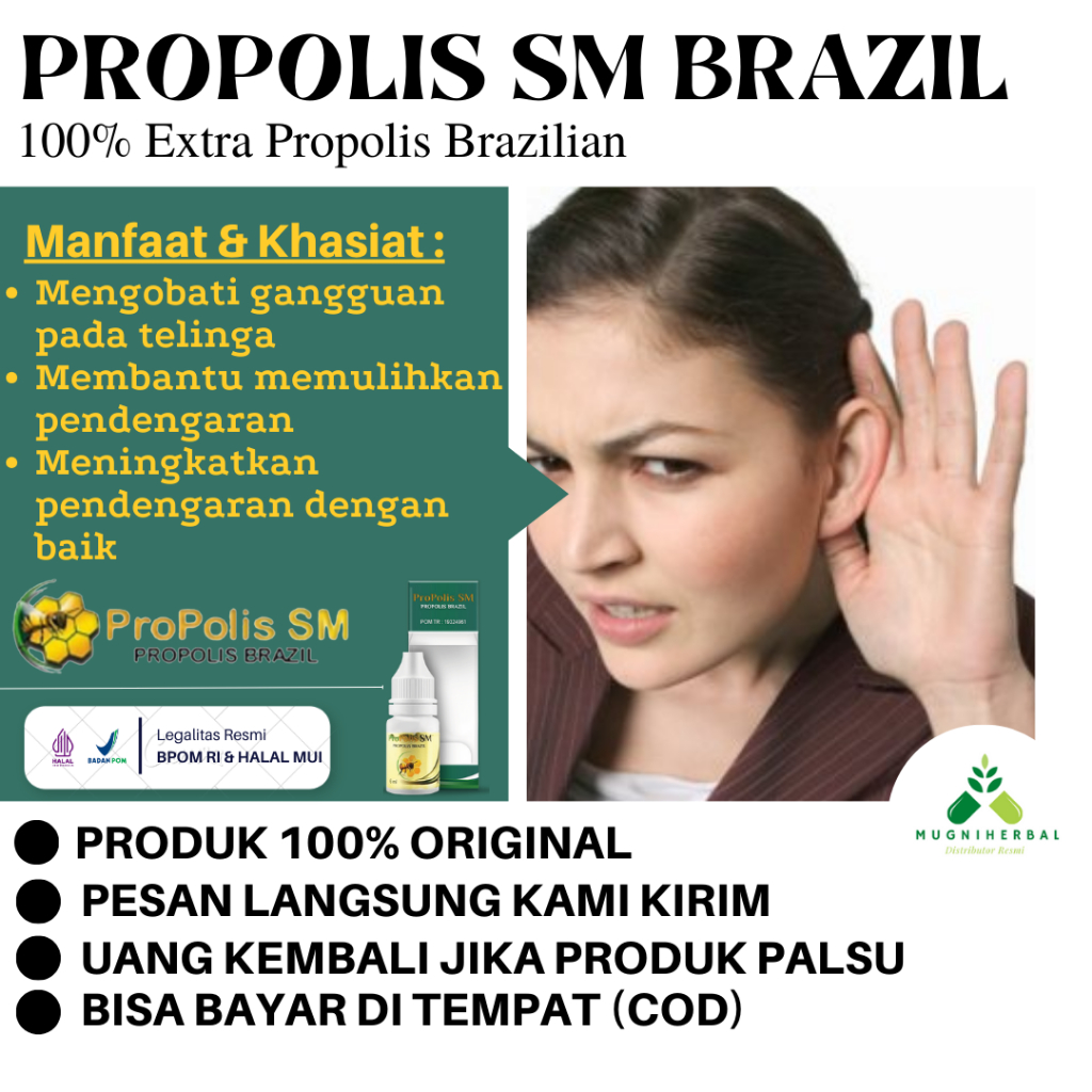 Propolis SM - Obat Telinga Kurang Pendengaran,  Obat Tetes Telinga Budeg, Gangguan Pendengaran, Gend