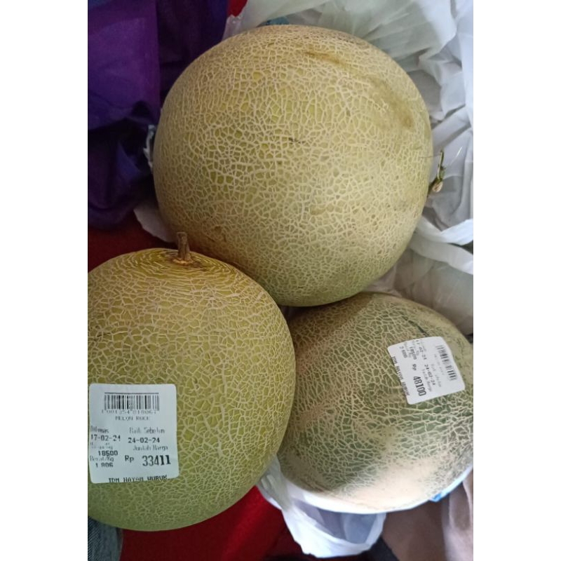 

Buah Melon