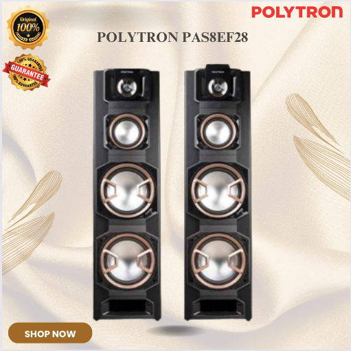 SPEAKER PAS8EF28 POLYTRON/PAS-8EF28/PAS-8EF-28/PAS 8EF 28/PAS-8EF 28/PAS8EF28 SPEAKER KARAOKE 8inch/