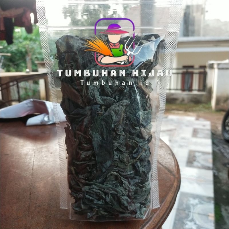 

Daun Tempuyung Kering / Tempuyung Kering dan Alami
